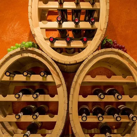 Wellness- Und Schneesporthotel Christiania 3*