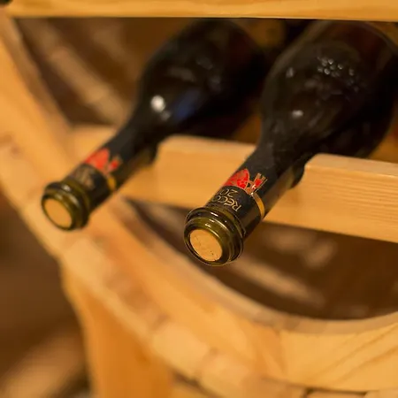 فندق Wellness- Und Schneesporthotel Christiania ساس-الماغيل